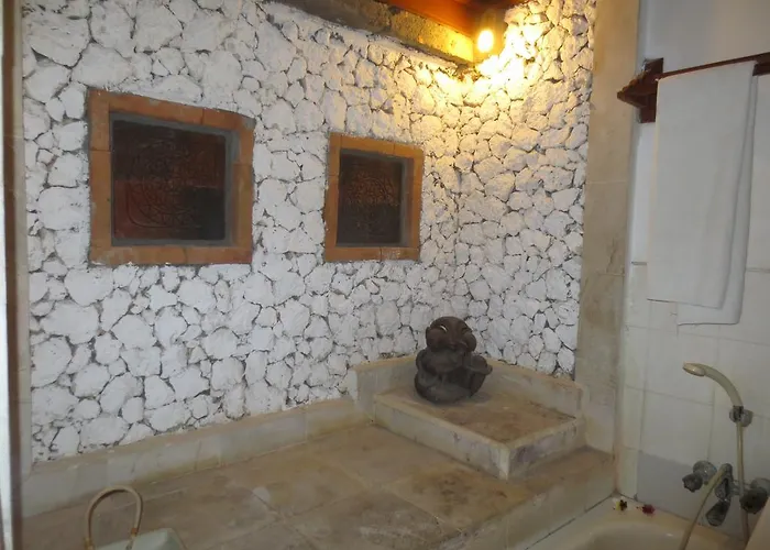 ホテル Balisani Padma